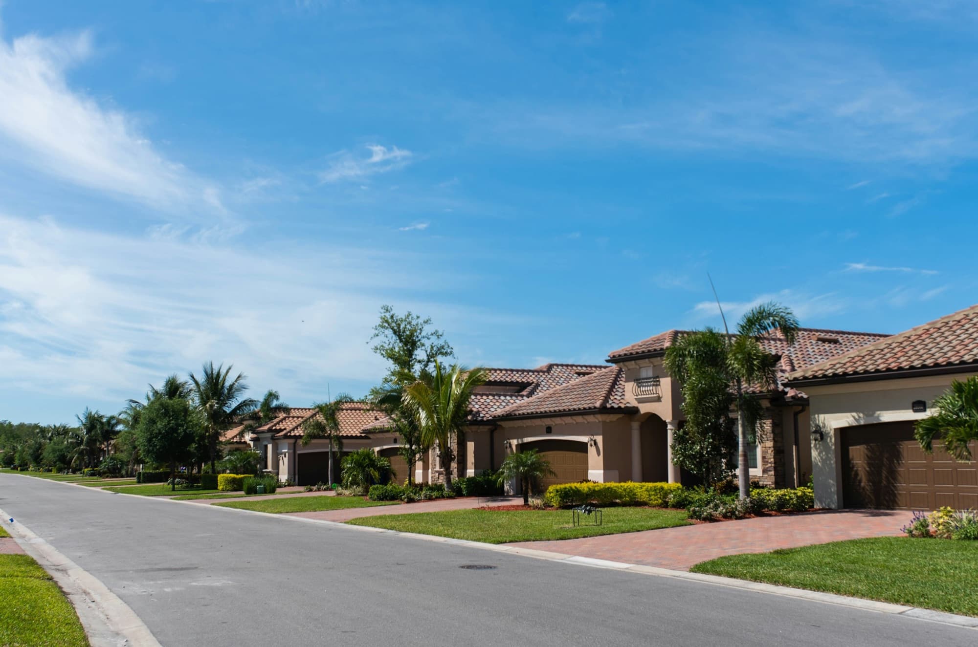 A quiet Florida residential street lined with palm trees and tile-roof homes